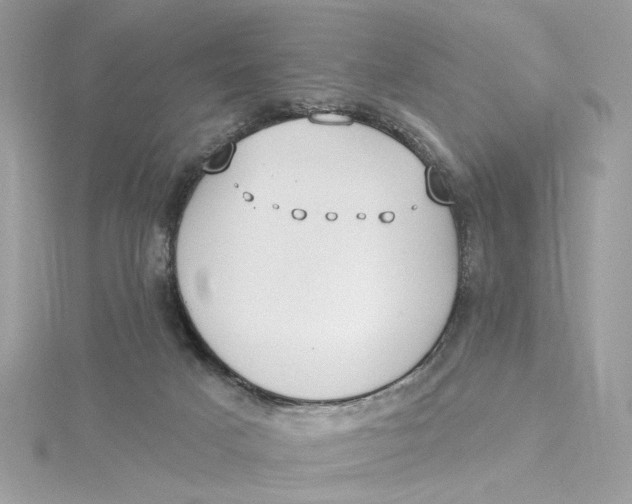 X0000115430025200911251235