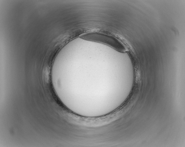 X0000115430026200911251235