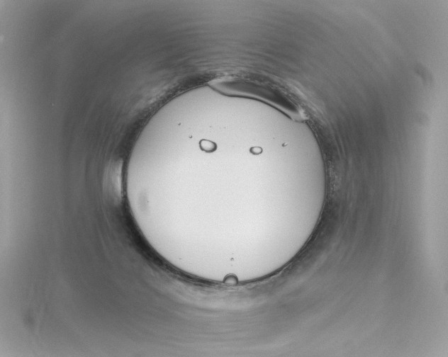 X0000115430028200911251235