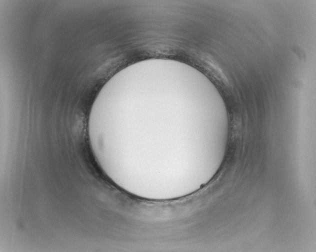 X0000115430029200911251235