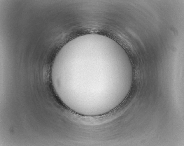 X0000115430030200911251235