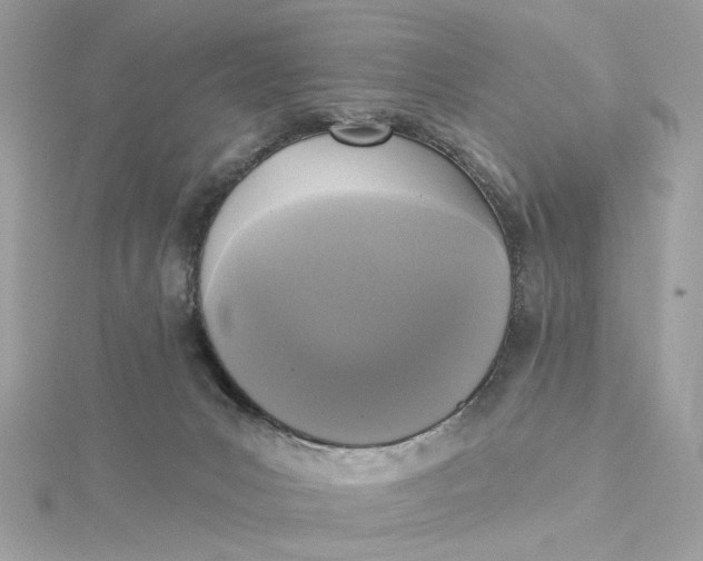 X0000115430031200911251235