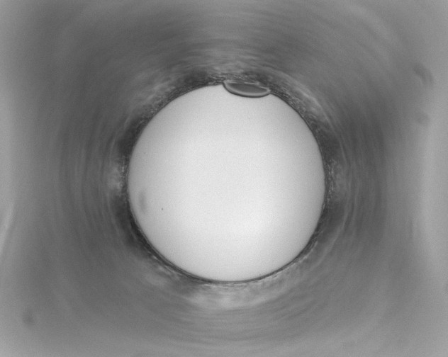 X0000115430033200911251235