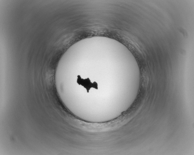 X0000115430034200911251235