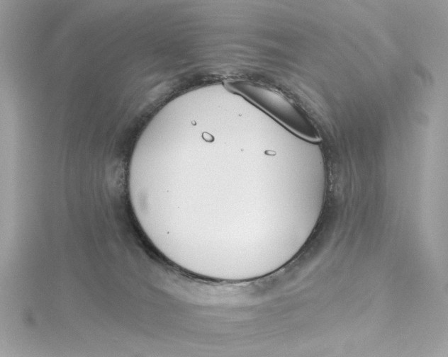 X0000115430036200911251234