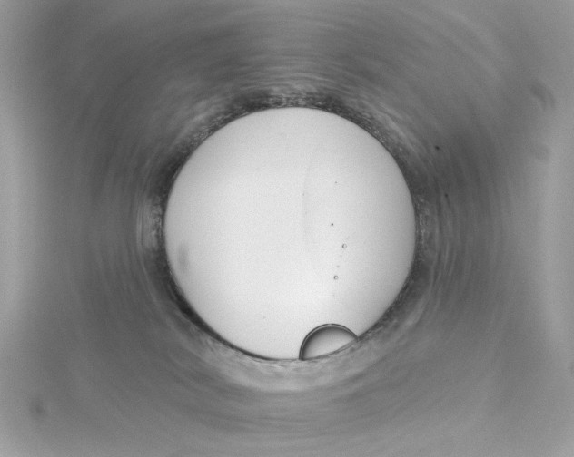 X0000115430038200911251234