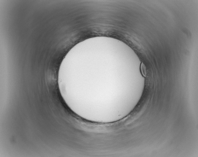 X0000115430040200911251234