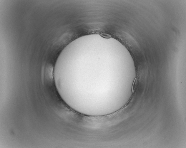 X0000115430041200911251234