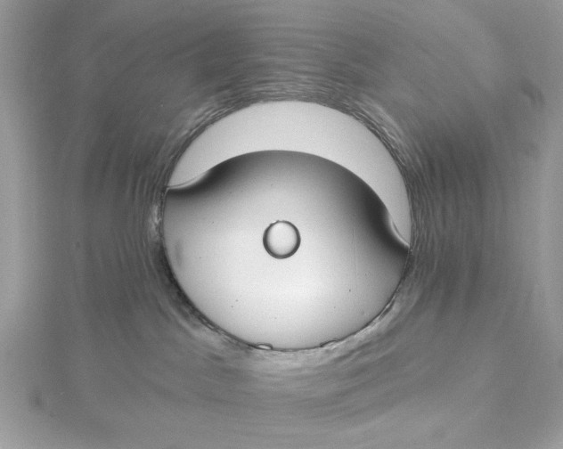 X0000115430045200911251234