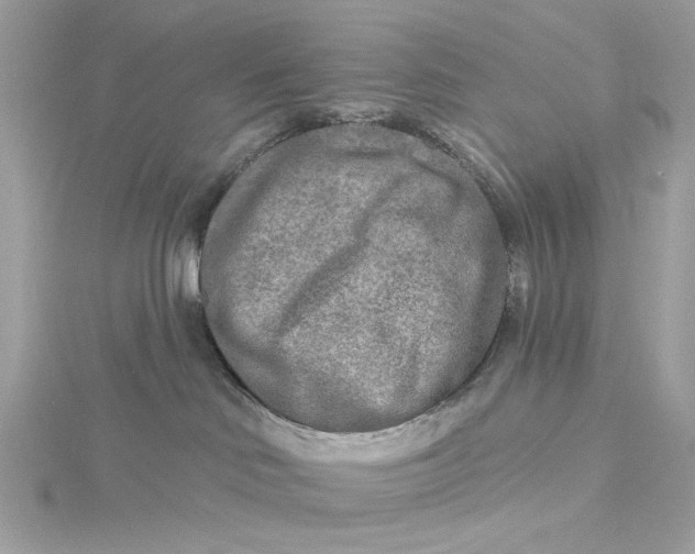 X0000115430046200911251234