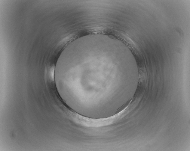 X0000115430047200911251234