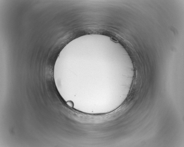 X0000115430048200911251234