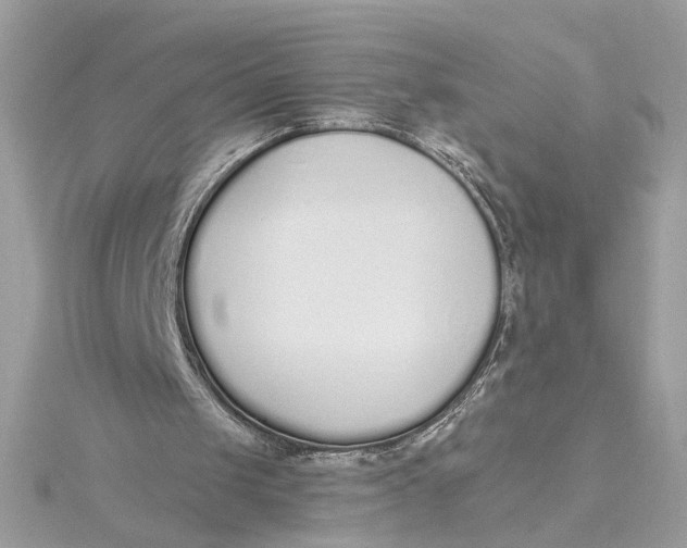 X0000115430049200911251234