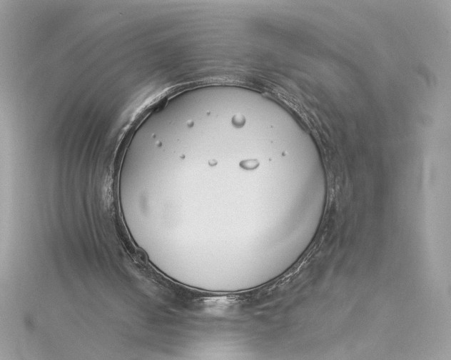 X0000115430050200911251234