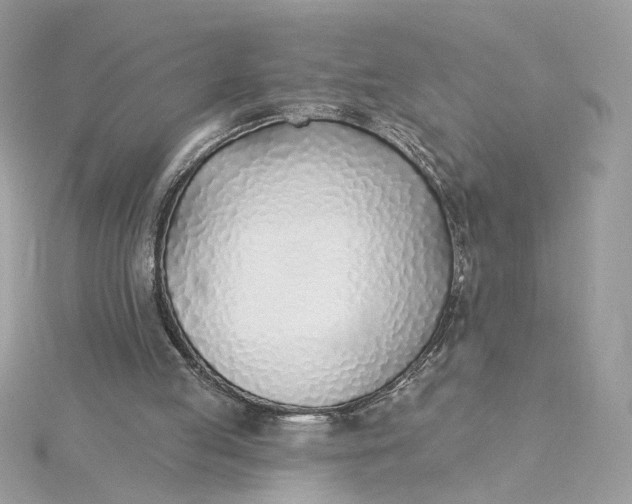 X0000115430053200911251234