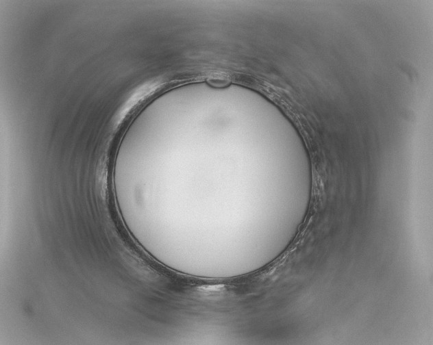 X0000115430054200911251234