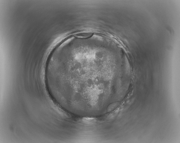 X0000115430055200911251234