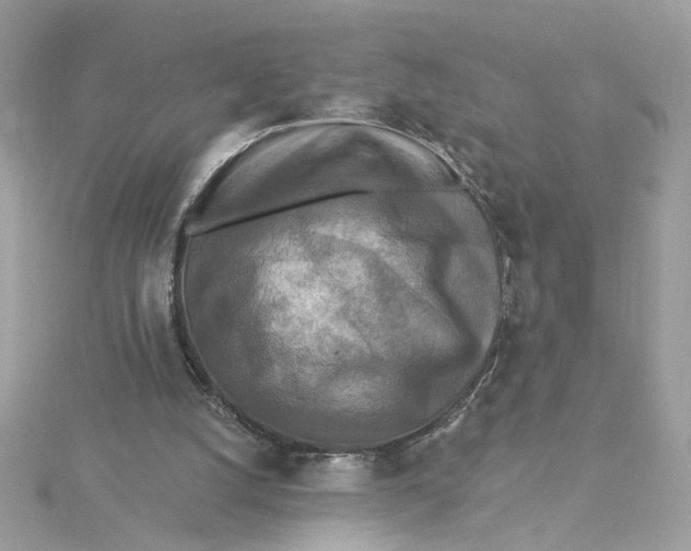 X0000115430056200911251234