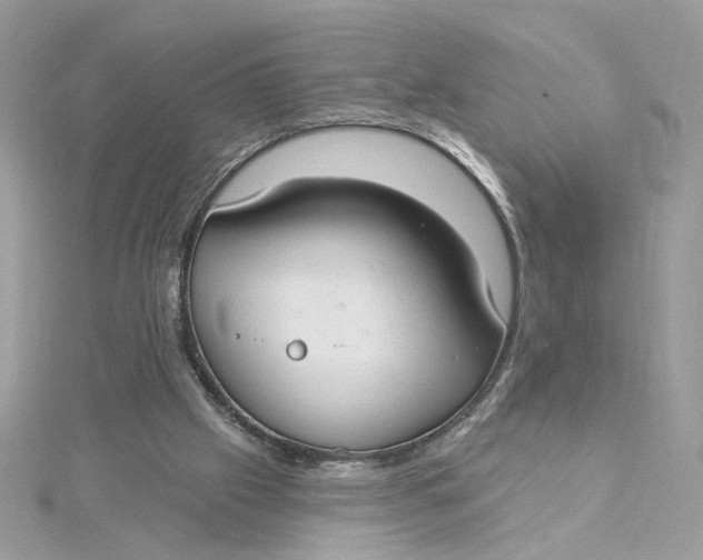 X0000115430057200911251234