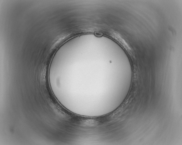 X0000115430058200911251234