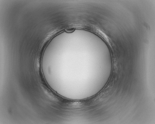 X0000115430059200911251234