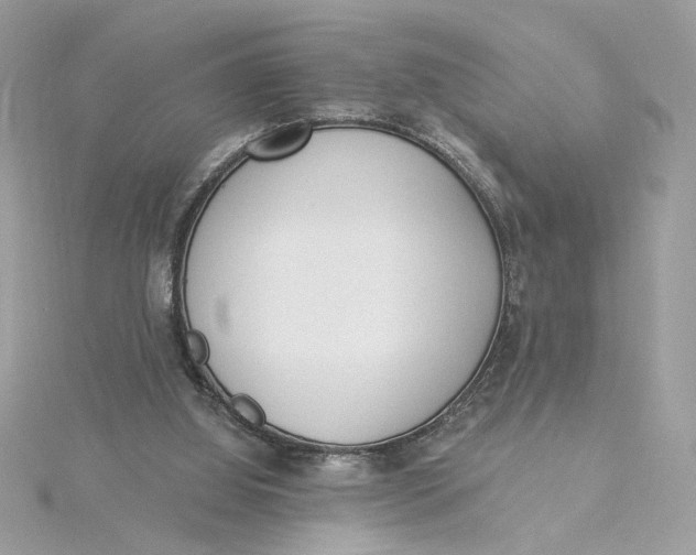 X0000115430060200911251234