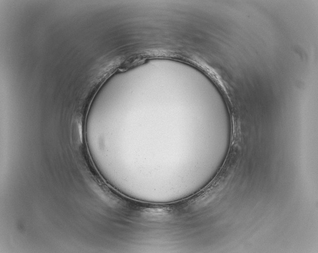 X0000115430061200911251234