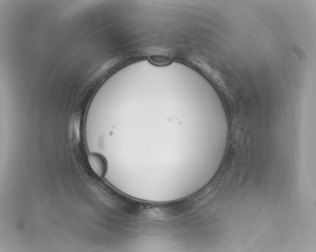 X0000115430062200911251234