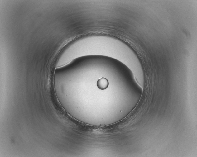 X0000115430064200911251234