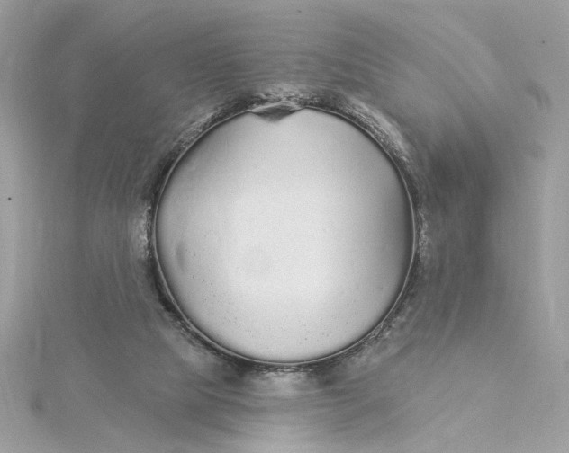 X0000115430065200911251234