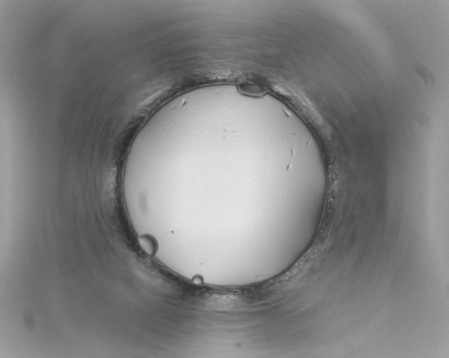 X0000115430066200911251234