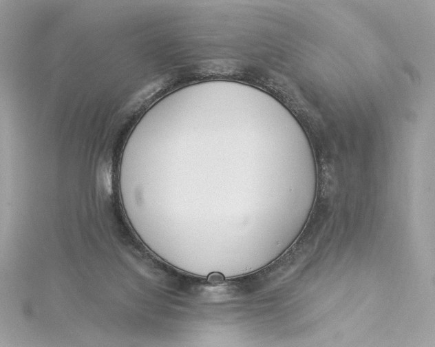 X0000115430068200911251234