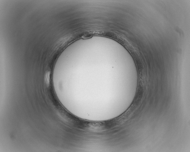 X0000115430070200911251234