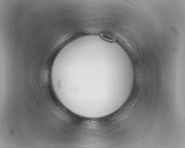 X0000115430071200911251234