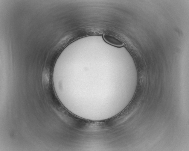 X0000115430072200911251234