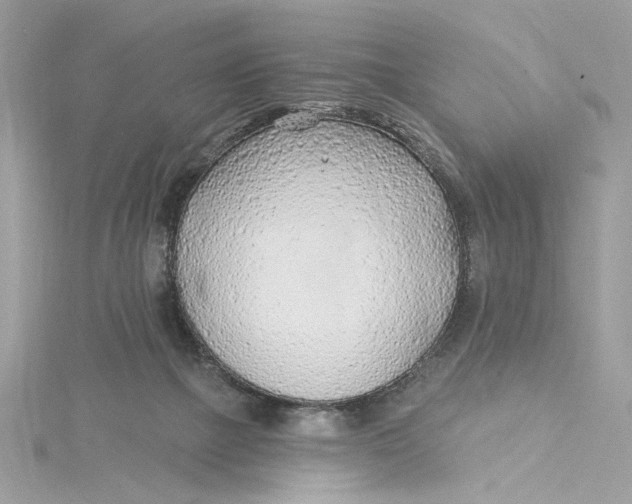 X0000115430073200911251234