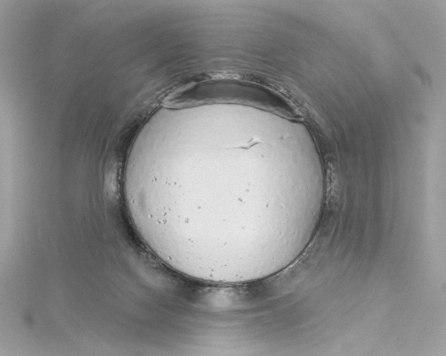 X0000115430074200911251234