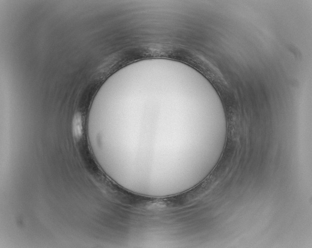 X0000115430075200911251234