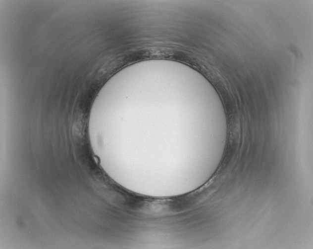 X0000115430078200911251234