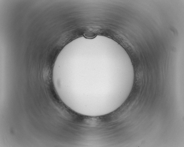 X0000115430079200911251234