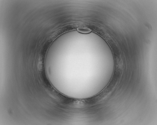 X0000115430080200911251234