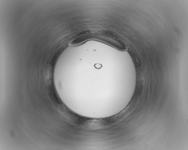 X0000115430082200911251234