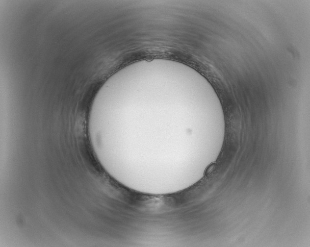 X0000115430083200911251234