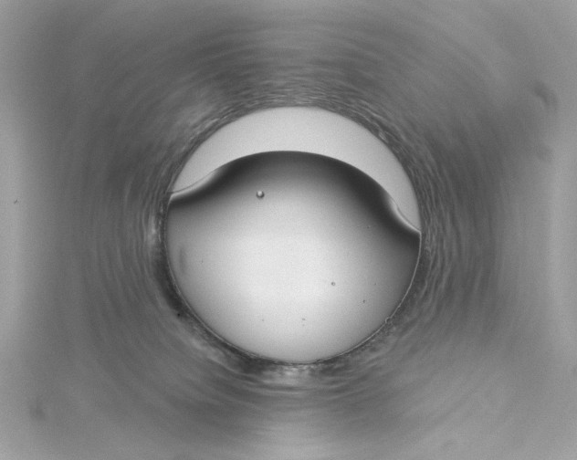 X0000115430084200911251234