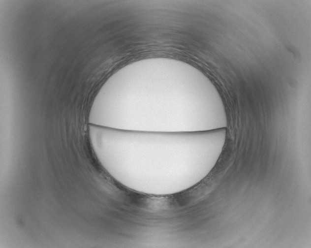 X0000115430085200911251234