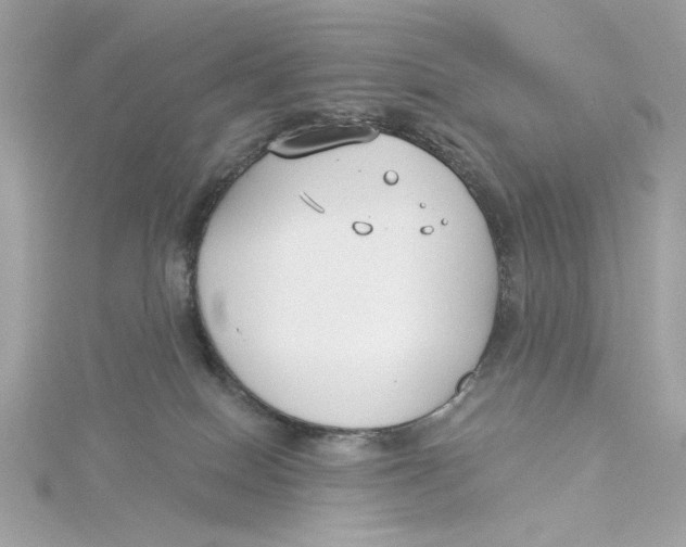 X0000115430086200911251234