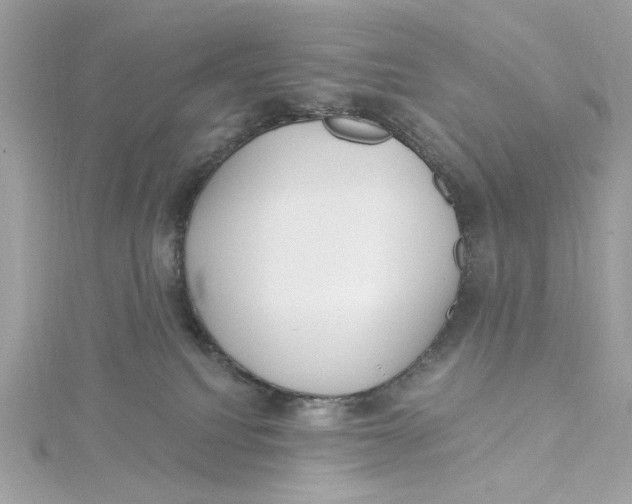 X0000115430088200911251234