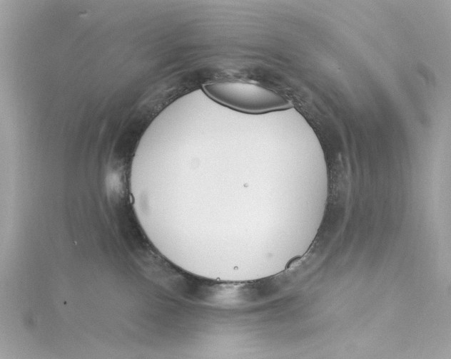 X0000115430090200911251234