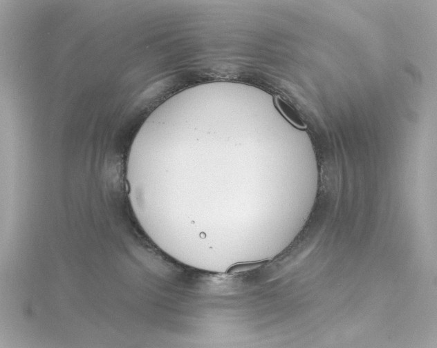 X0000115430092200911251234