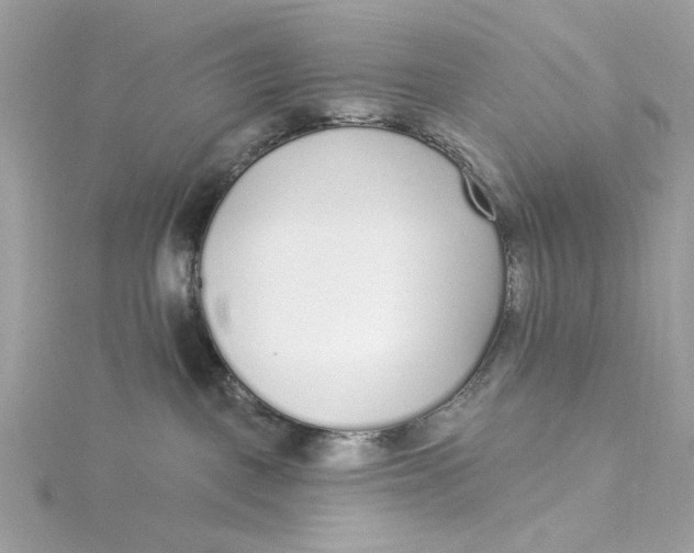 X0000115430093200911251234